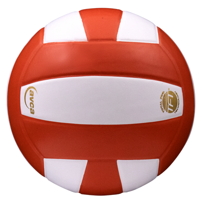 Perfection Leather Volleyball