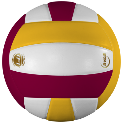 Perfection Leather Volleyball