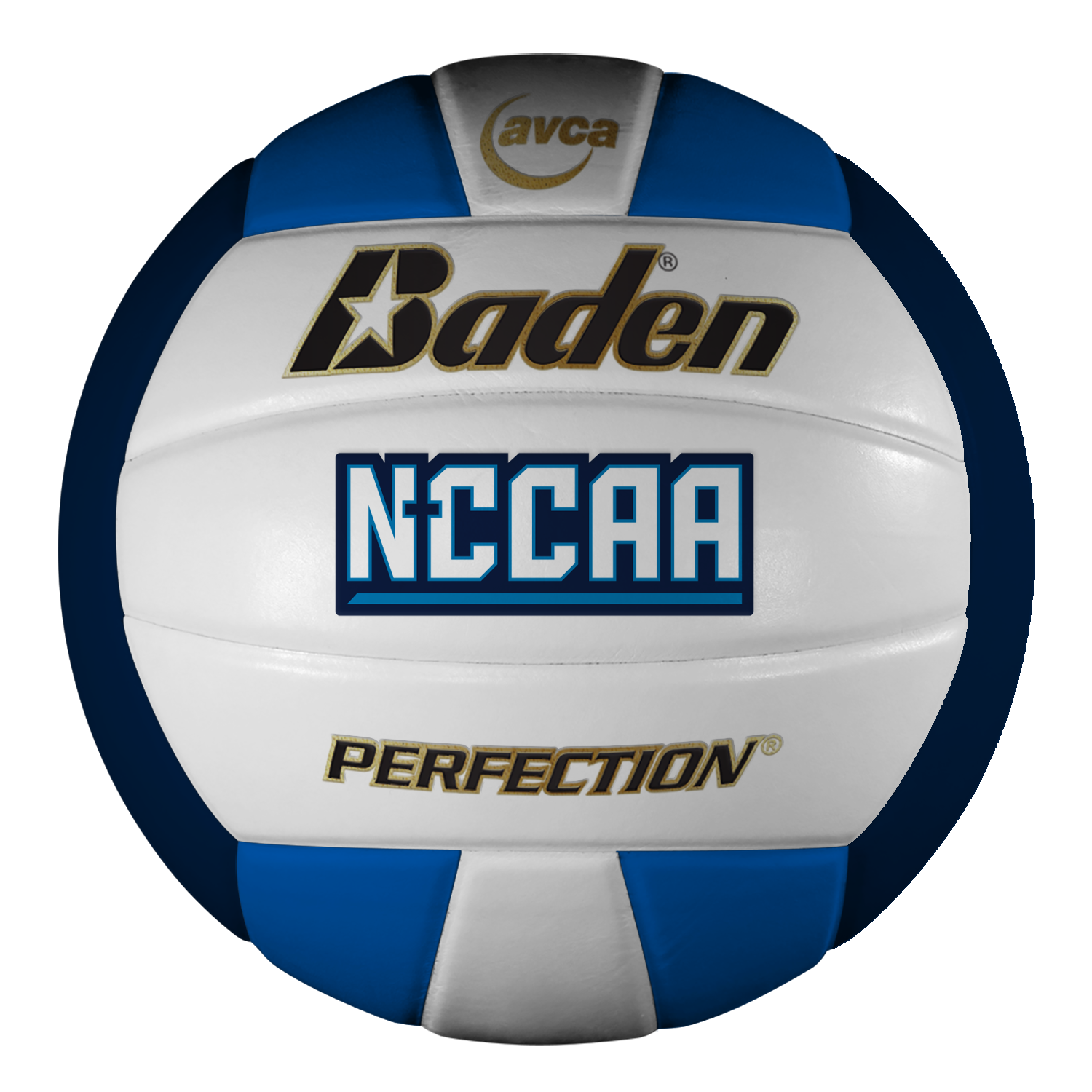 NCCAA Perfection Leather Volleyball