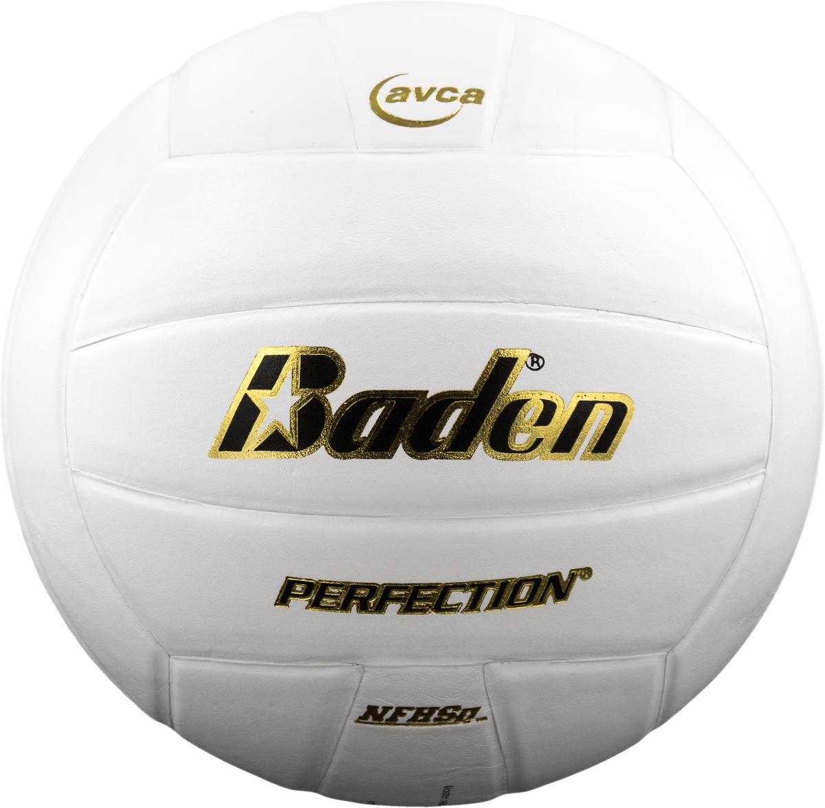 Perfection Leather Volleyball - Baden Sports