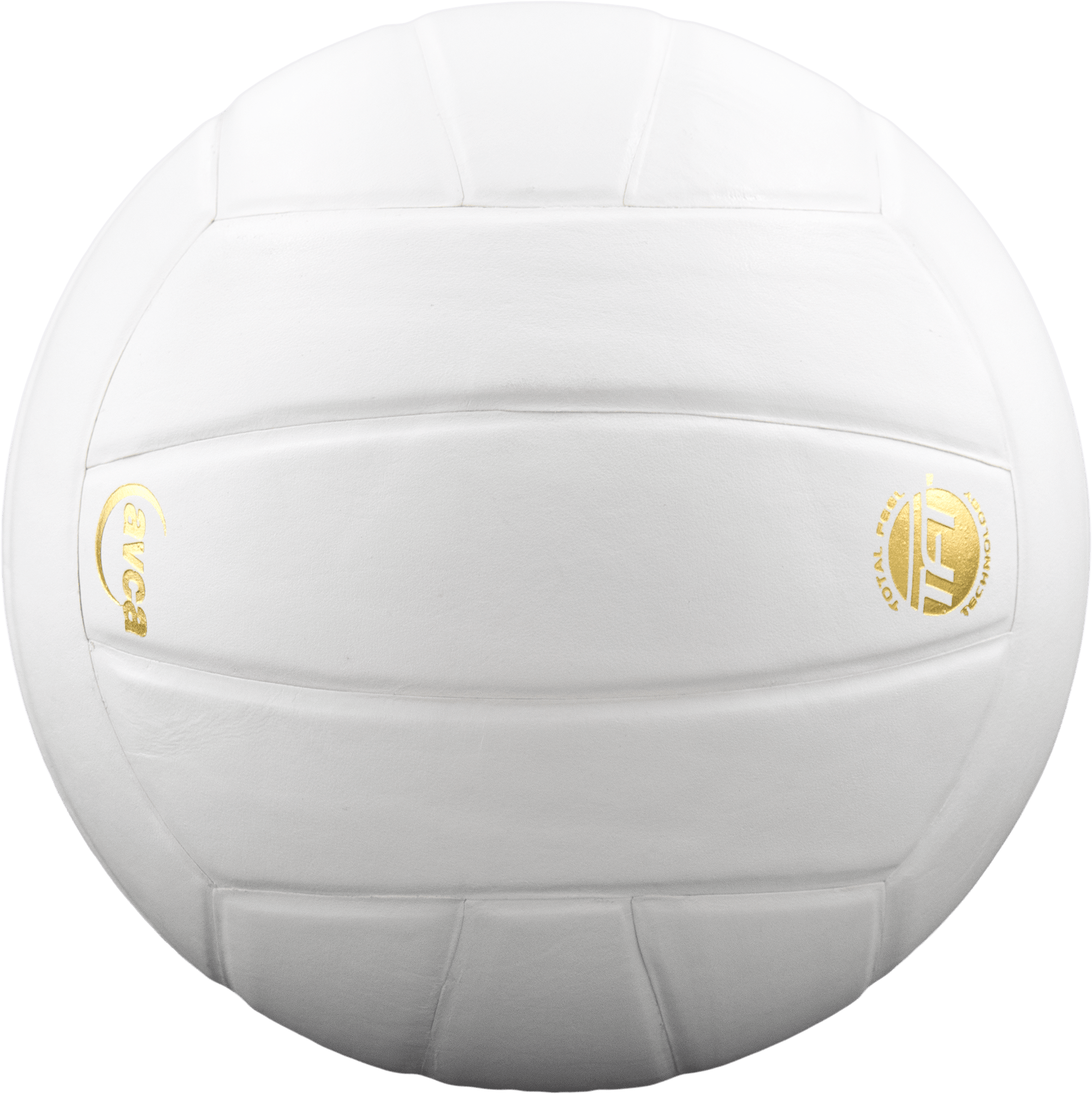 Baden - Perfection Sports Leather Volleyball