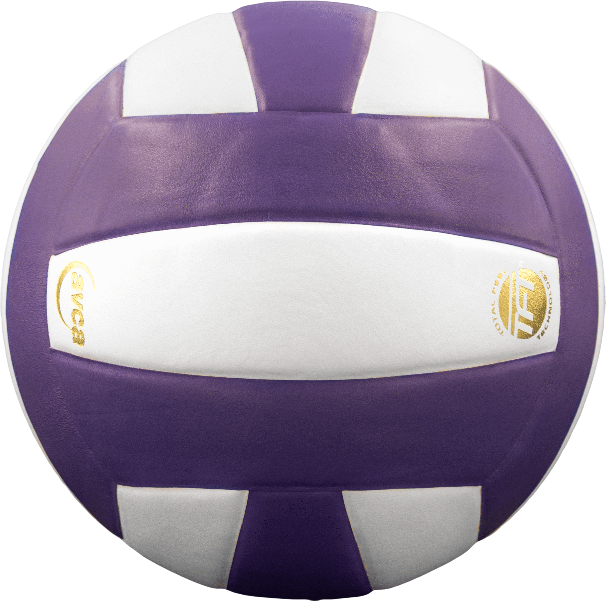Baden - Leather Perfection Sports Volleyball