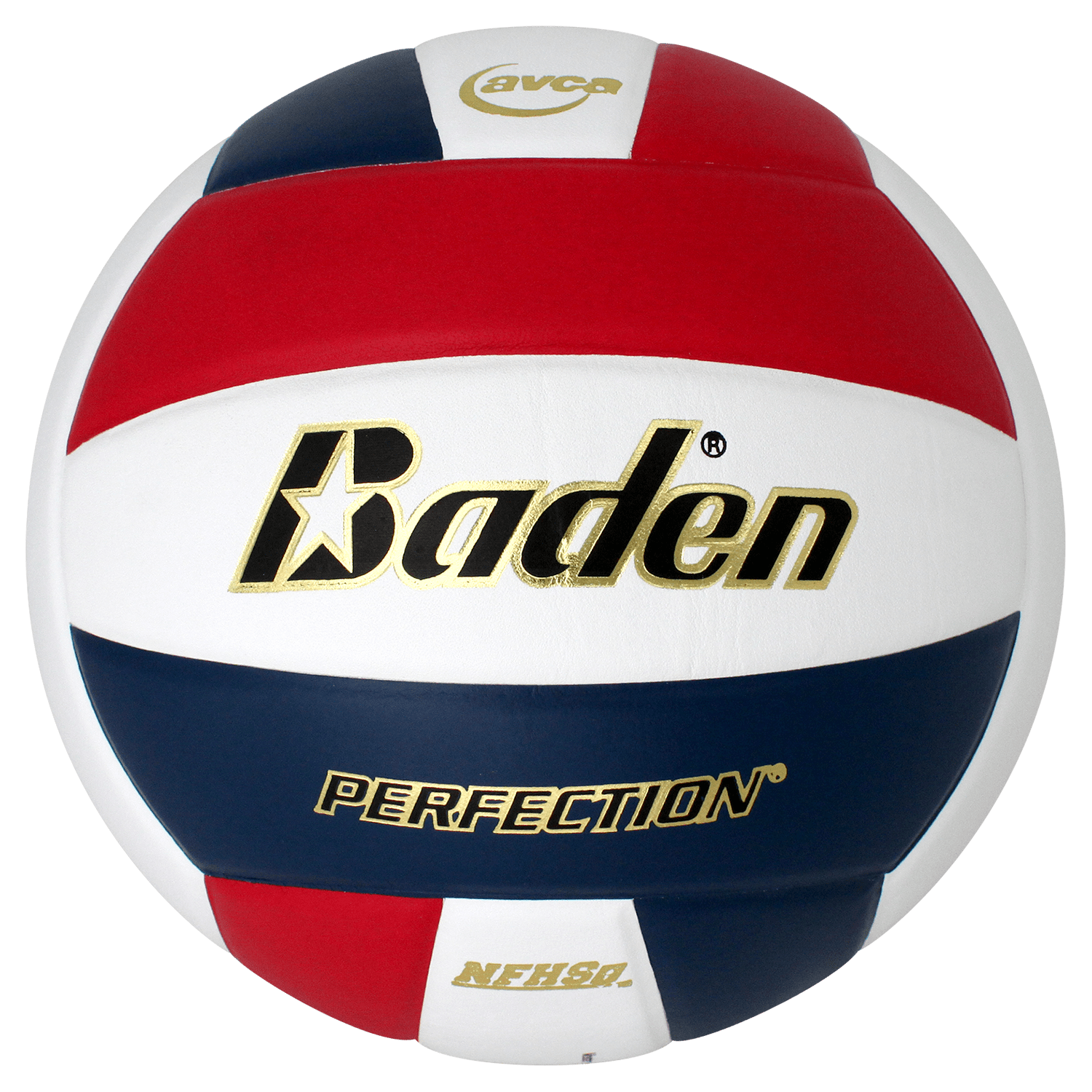 Sports Perfection Leather Baden Volleyball -